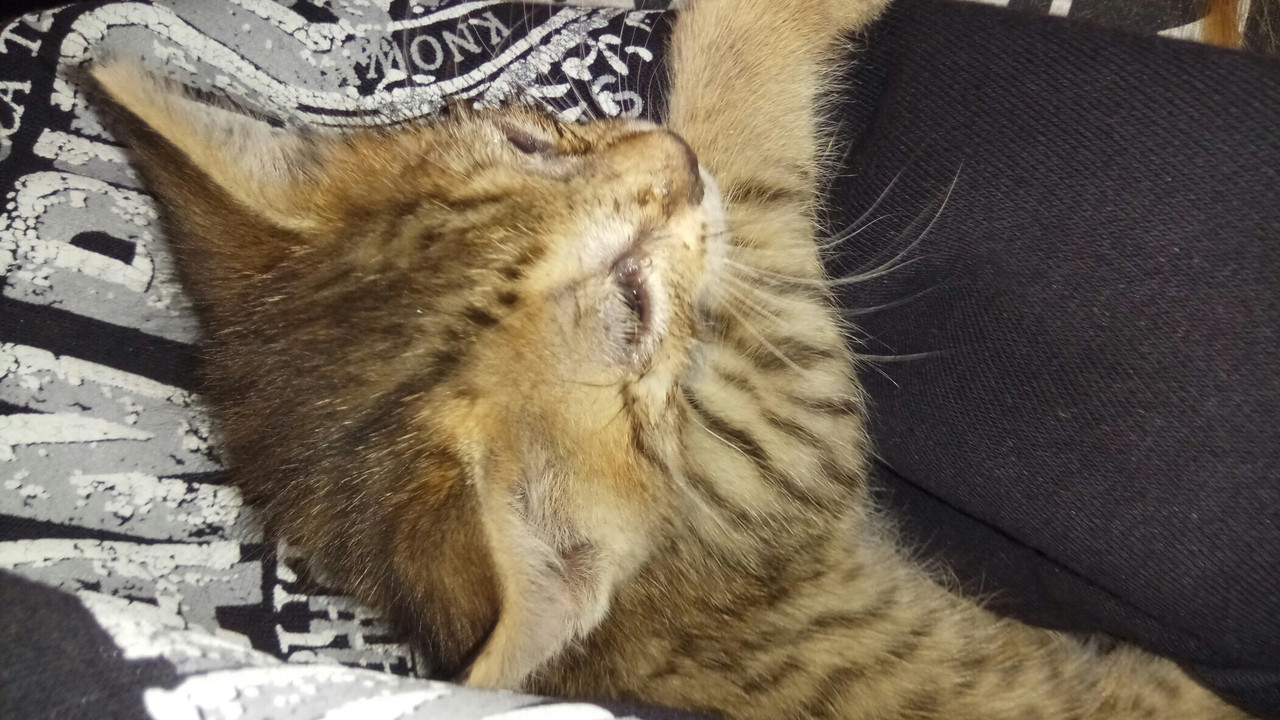 24982AC4-0EF8-4A73-B8B2-928F13D930AC