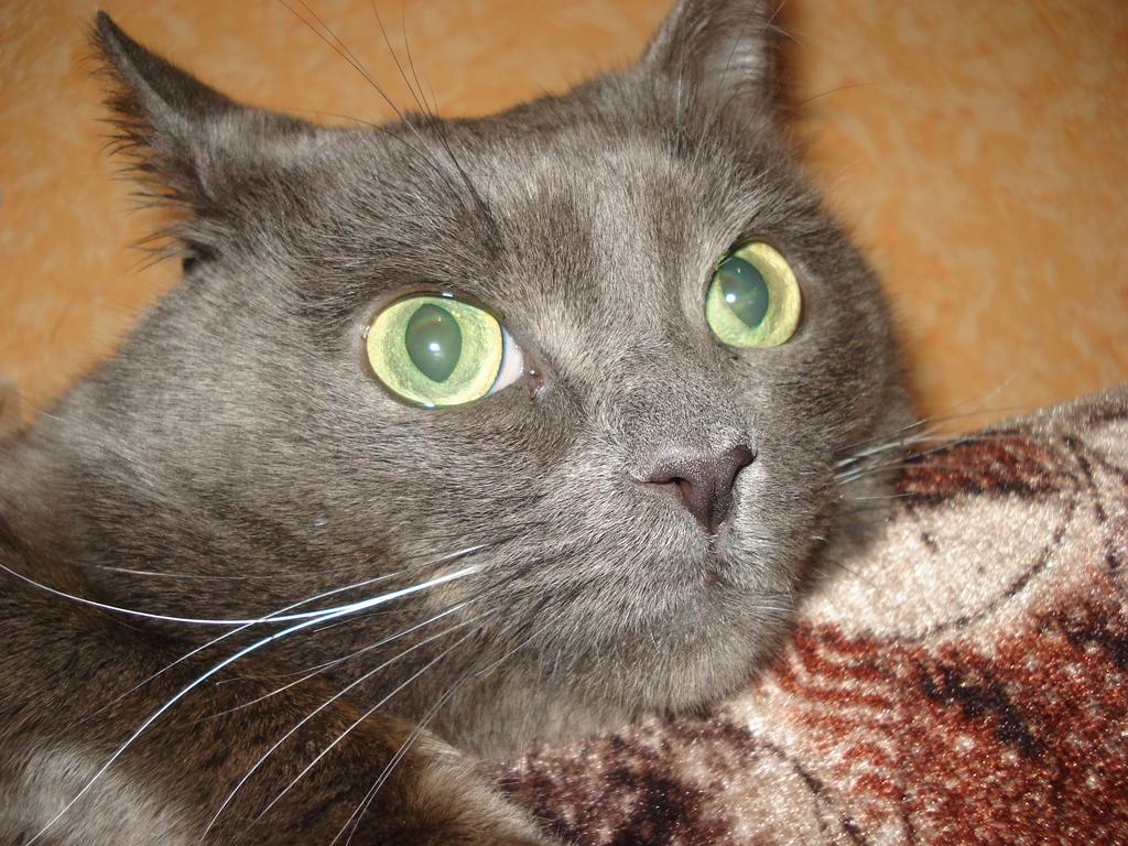DSC08167.jpg