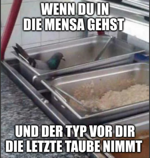thumbs-picdump898-032.jpg