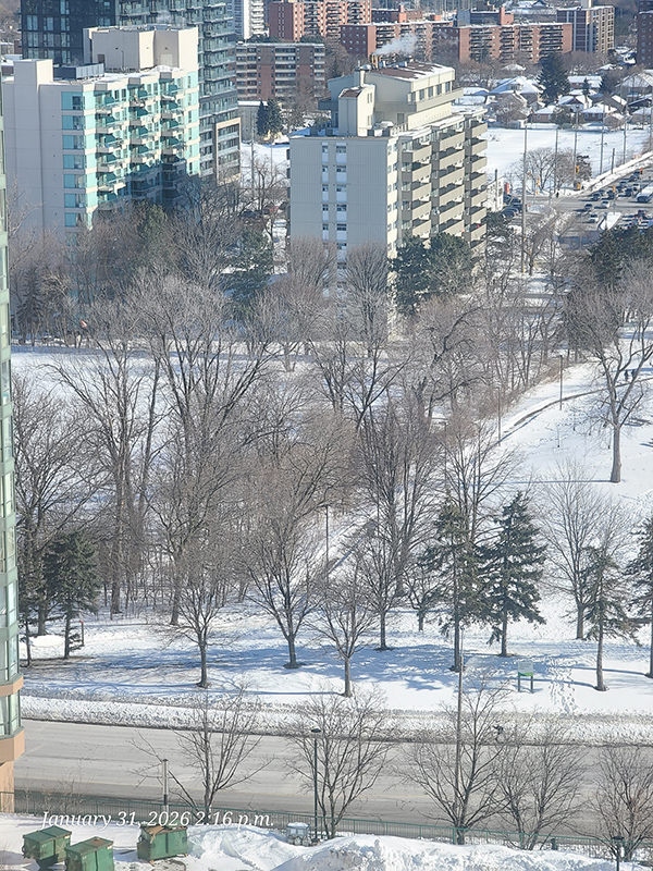 [Image: 20260131-140500.jpg]