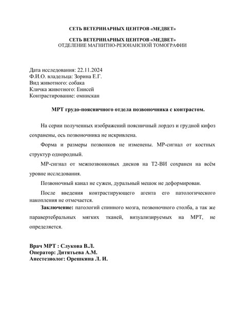 Whats-App-Image-2024-11-26-at-13-29-49
