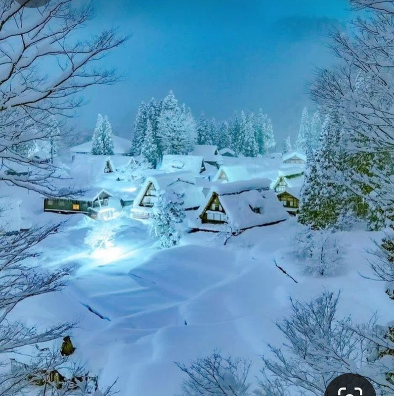 Screenshot_20231118_221218_Pinterest