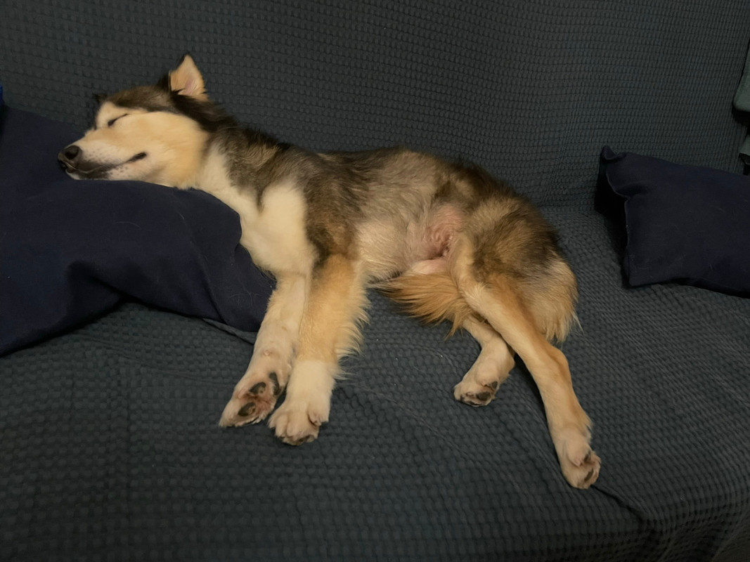 7368C417-3324-40D7-B381-9DE156649B95