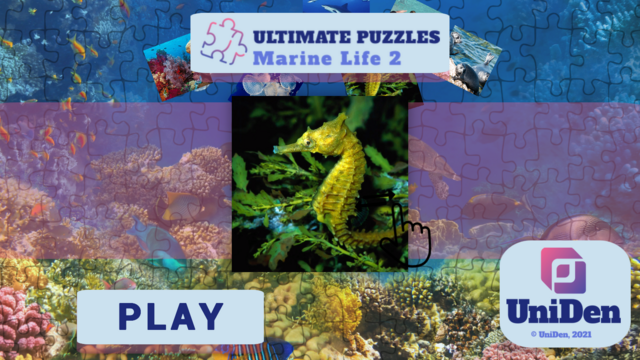 marine-life-2-003