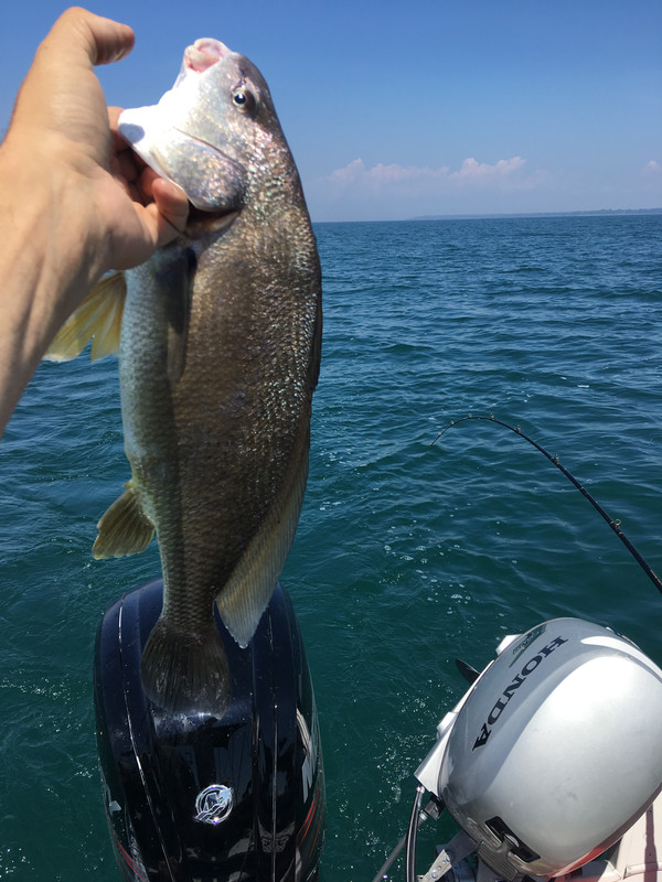 9F398D99-BED1-44CD-9B03-430DFCDADF20