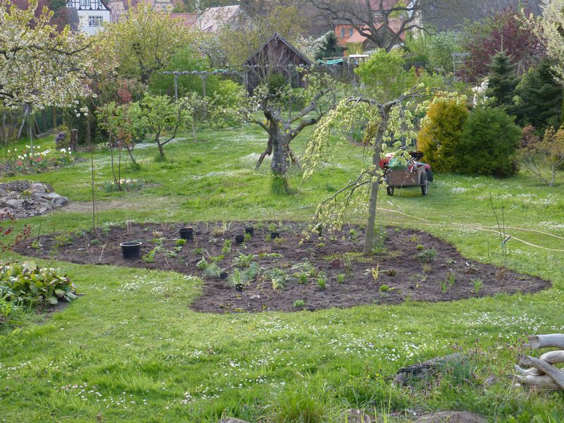 2014-04-20 Gräserbeet6