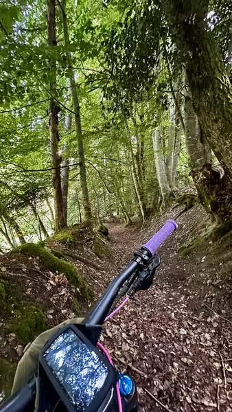 https://i.postimg.cc/G2mrDxGX/IMG-9635.avif