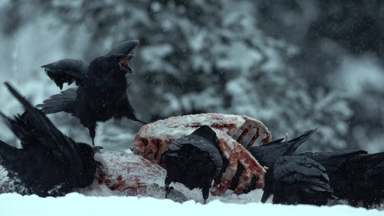 Alaska Earth's Frozen Kingdom (2015) - S01E01 - Spring (1080p x2