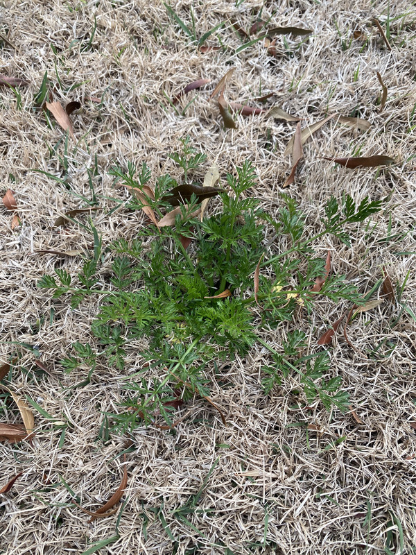 DF350597-1628-4D90-BBBF-EA23B9D13A4F