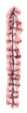 /Guro