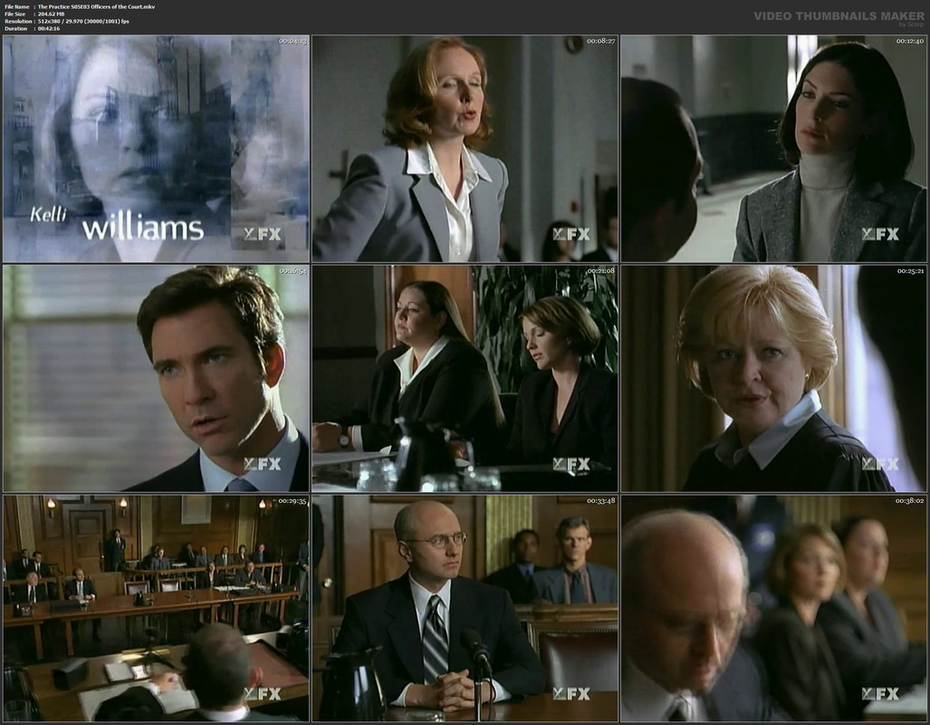 The Practice S05E03 Officers of the Court.mkv
