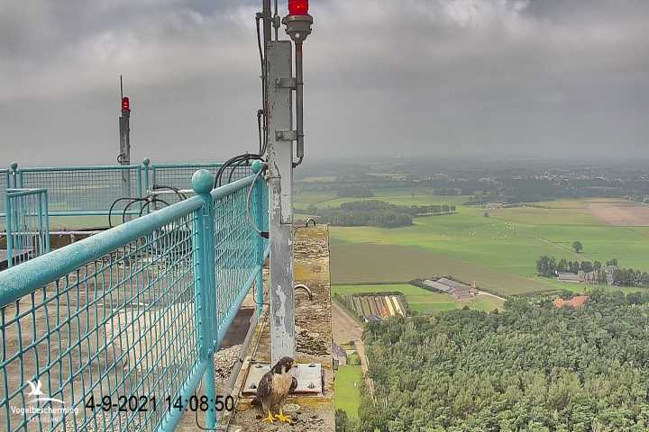 campics vanaf 1 juli © VWGGemert en bonusjes van ter plekke - Pagina 23 4