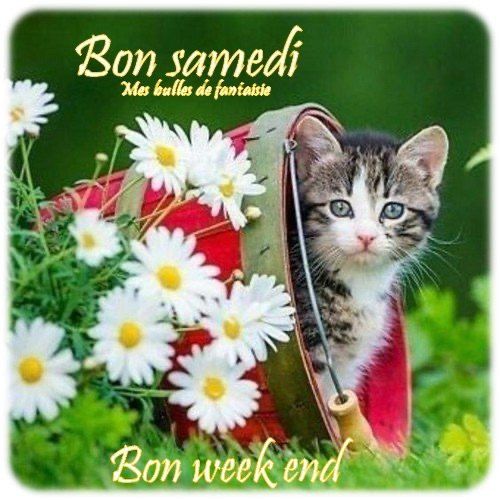 samedi