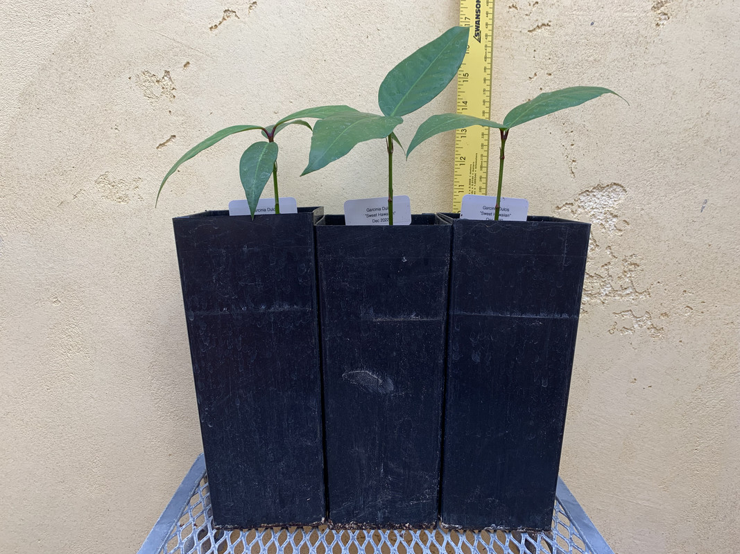 E97E4D71-2F21-46CF-8EFE-779A81DE358F