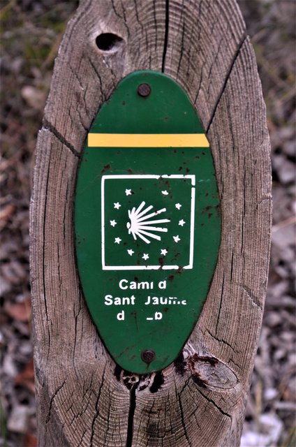LA FONTCALDA-3-11-2016-TARRAGONA - Paseando por España-1991/2016 (21)