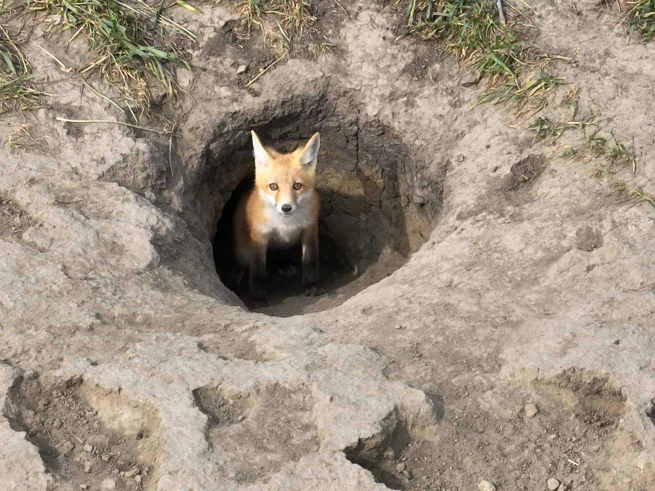 dji fly 20250709 171344 261 1752103600496 photo 052921