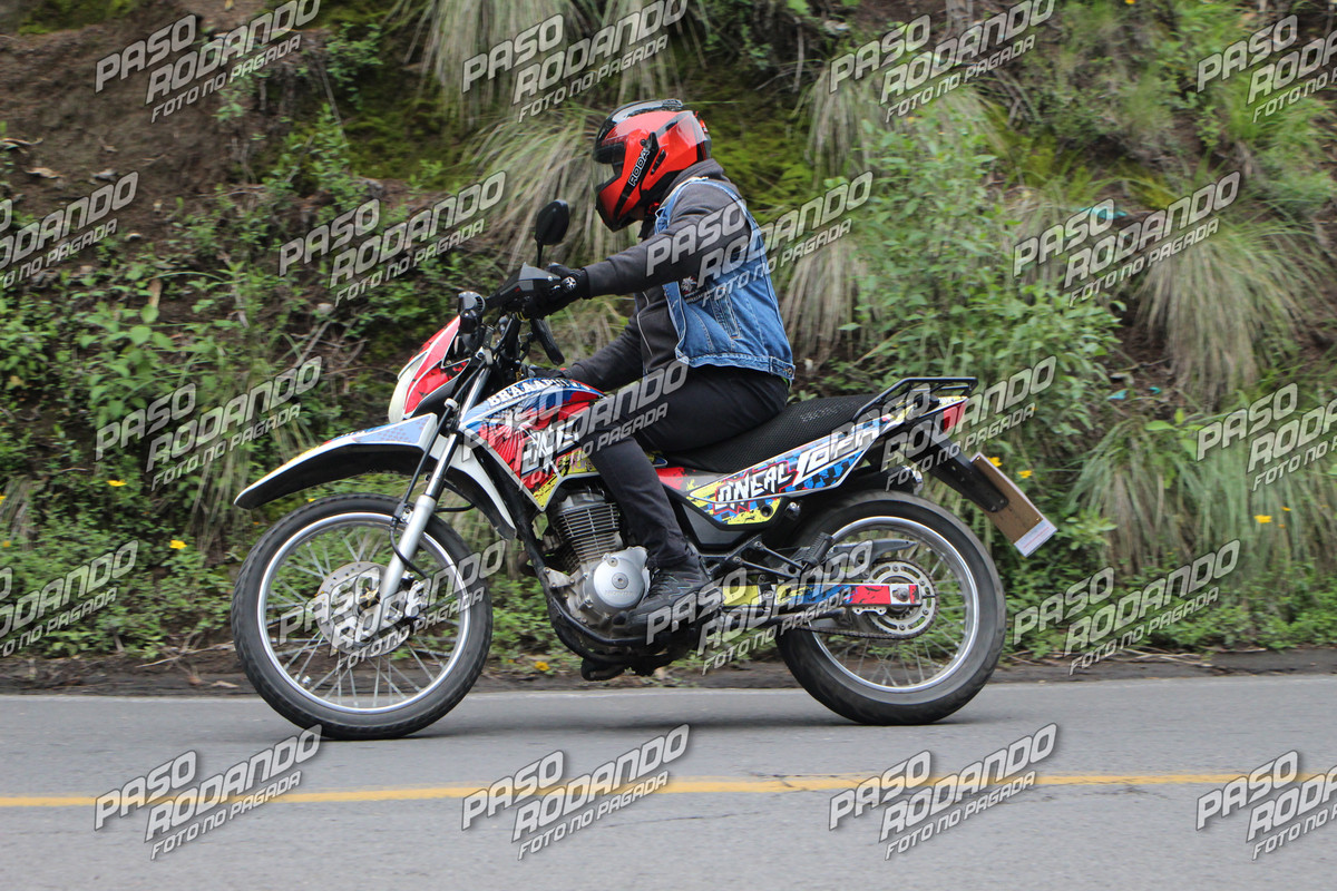 IMG 3101 wm 1544195 6 watermarked — Postimages