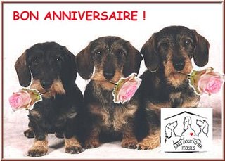 [Image: 3-TECKEL-ANI.jpg]