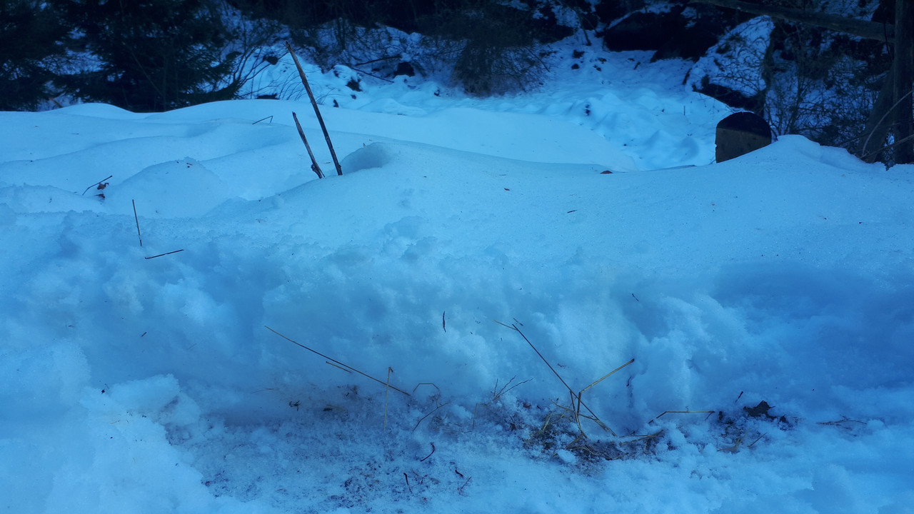 20190225_160757