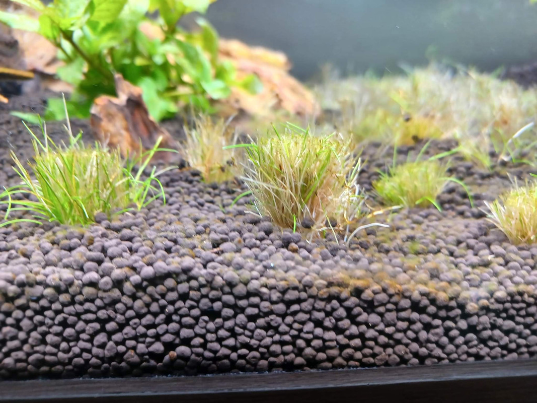 received_388876360056104