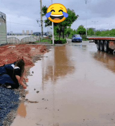 https://i.postimg.cc/G2pnXt8s/6.gif