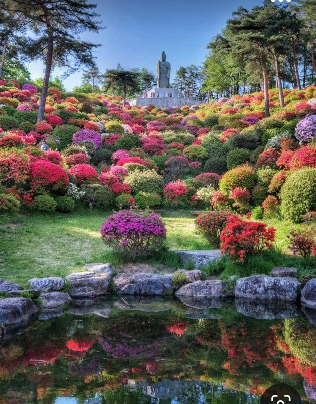 Screenshot_20231020_211856_Pinterest