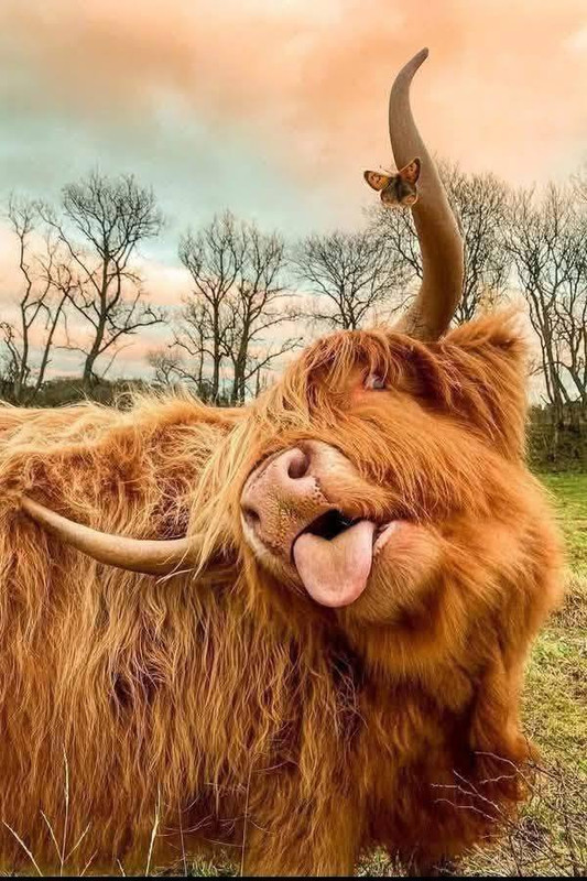 625228734 122177882450685094 6364905077026628290 n