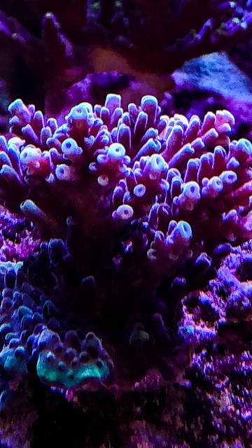 F35676EA-2EF1-4649-A995-8C898C4A10A1