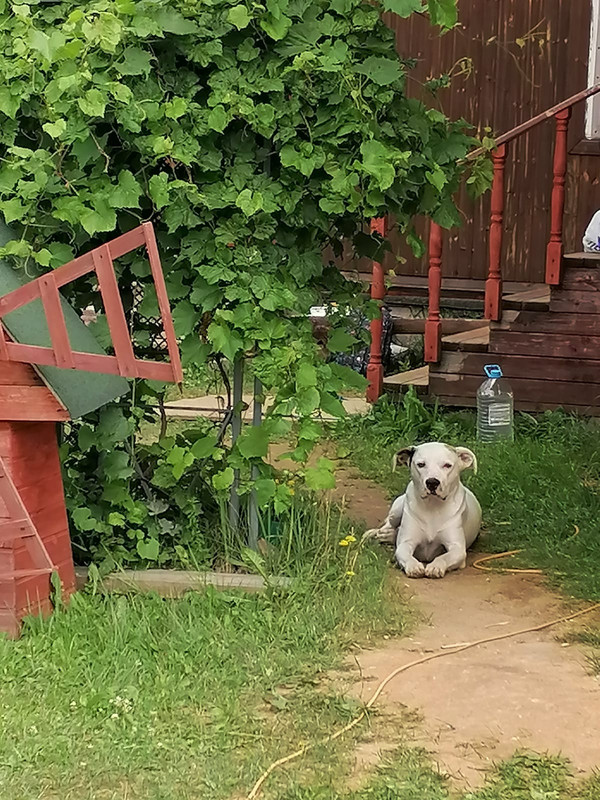 4EDCB7D5-DCBA-4E33-95DB-2B0ADFEE8A87