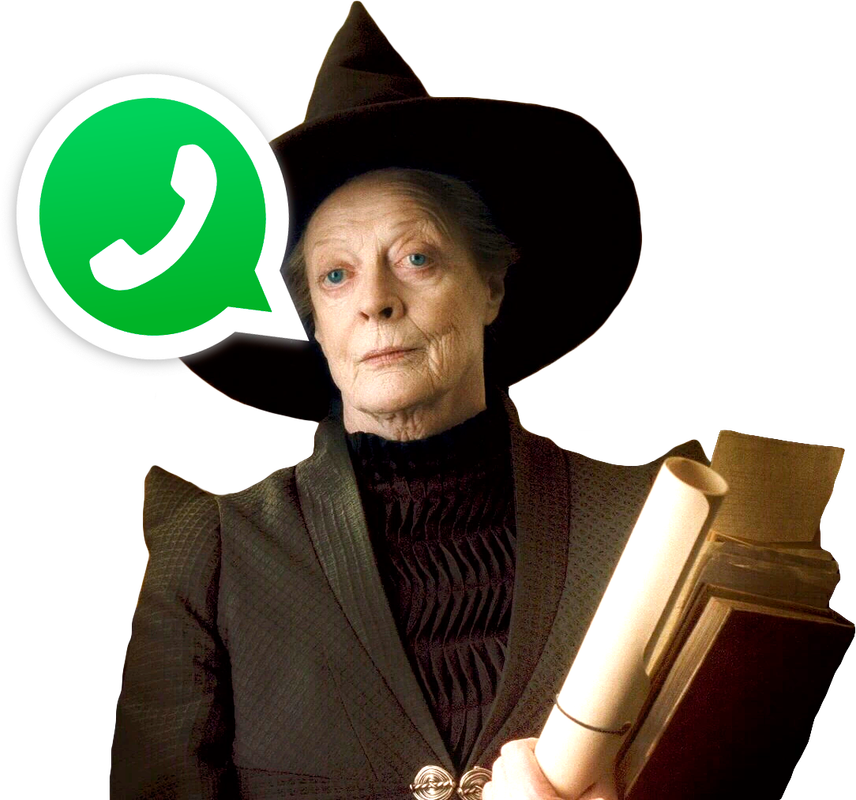 WhatsApp Minerva