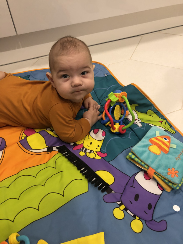 C0486BBA-61B5-41C5-84D1-2A8B9C88677D