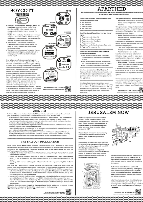 Bilingual awareness campaign flyer design