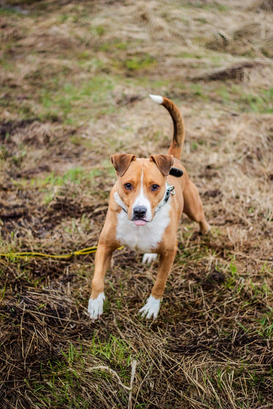 без имени-1238