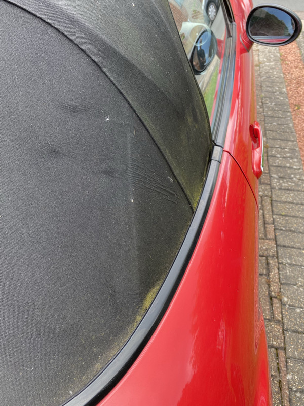 2021-07-29_12-46-23_IMG_0301