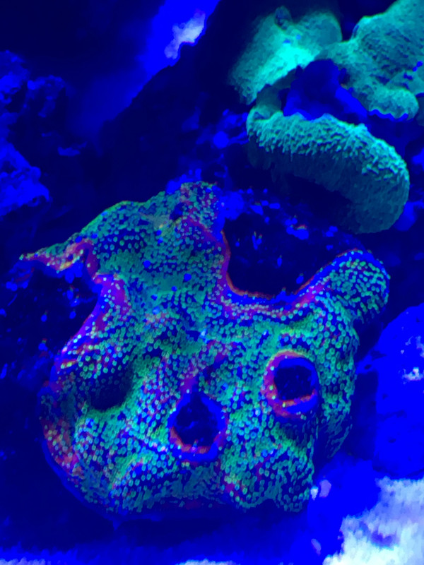 CCEE94DD-75E4-43A9-87BF-79186BFE31CA