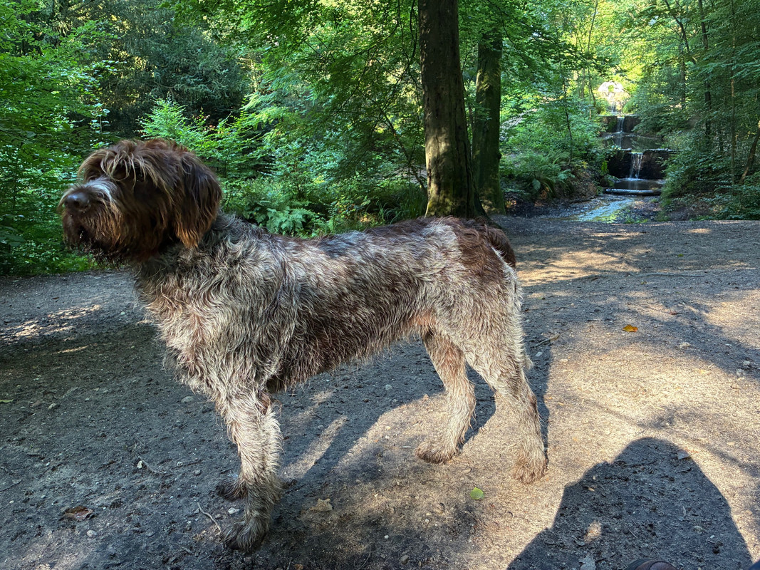 2025-03-08 Claire 3 IMG_5141 (002)