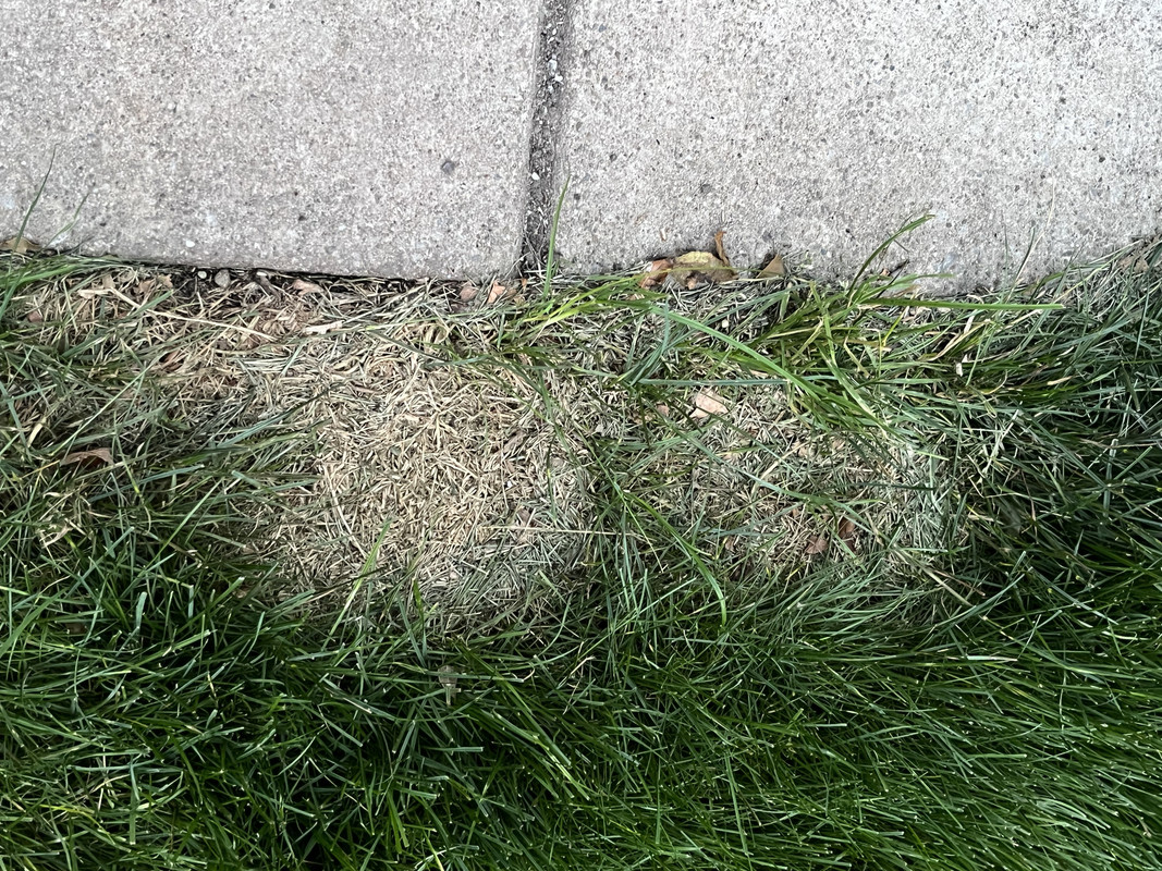 FF080761-6C97-4A85-ABA5-5845C6C0EB79