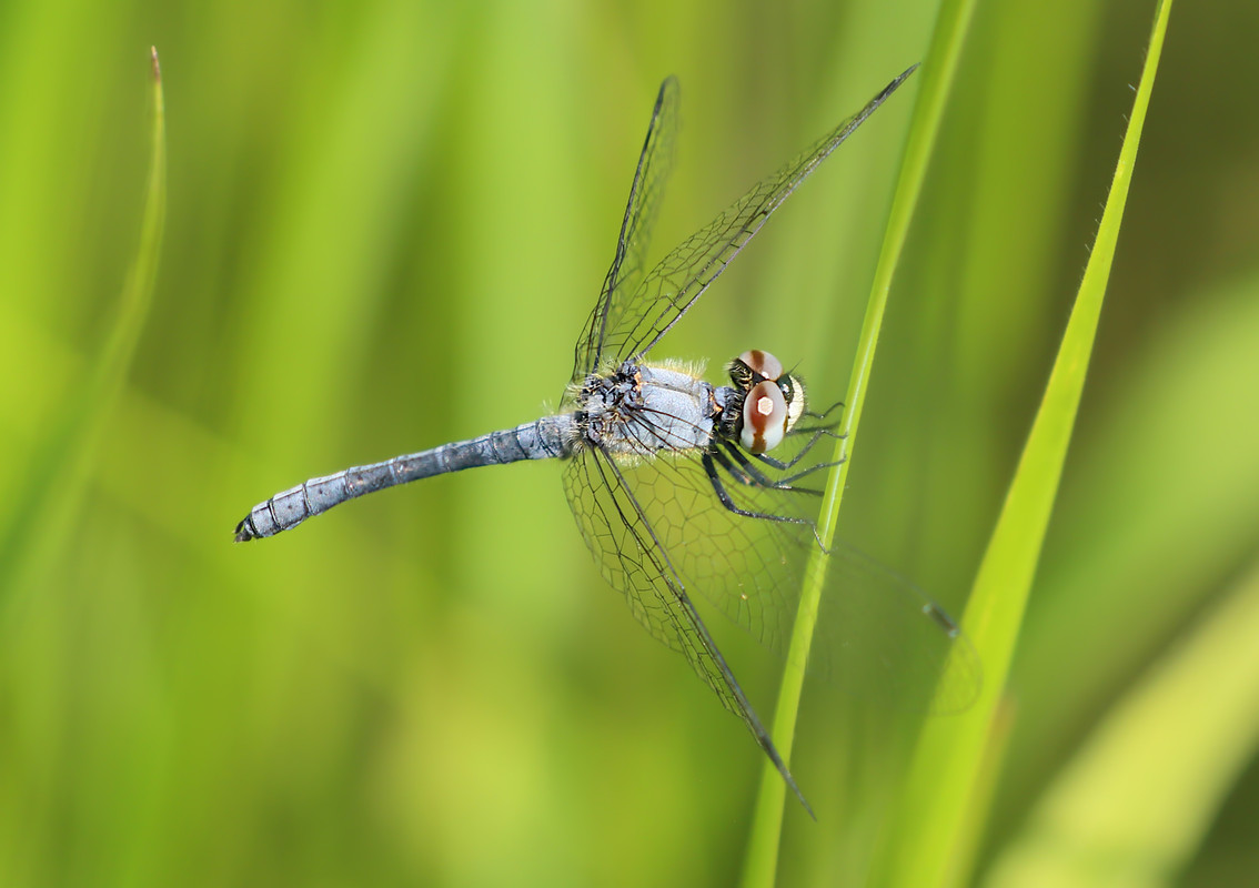 51104150544 9f8cfa8a14 o