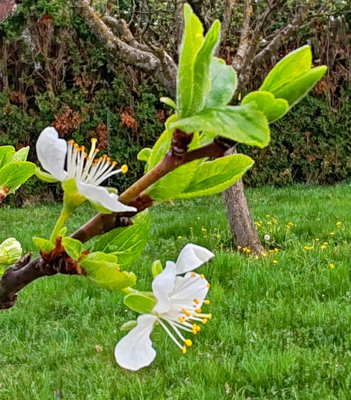 IMG 20260413 190806bb