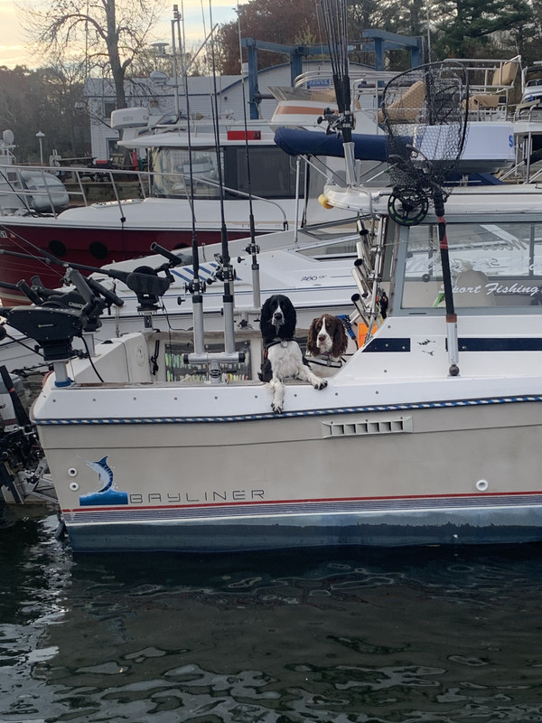 411DA1D7-2F33-487E-89B4-ACD0107323D3