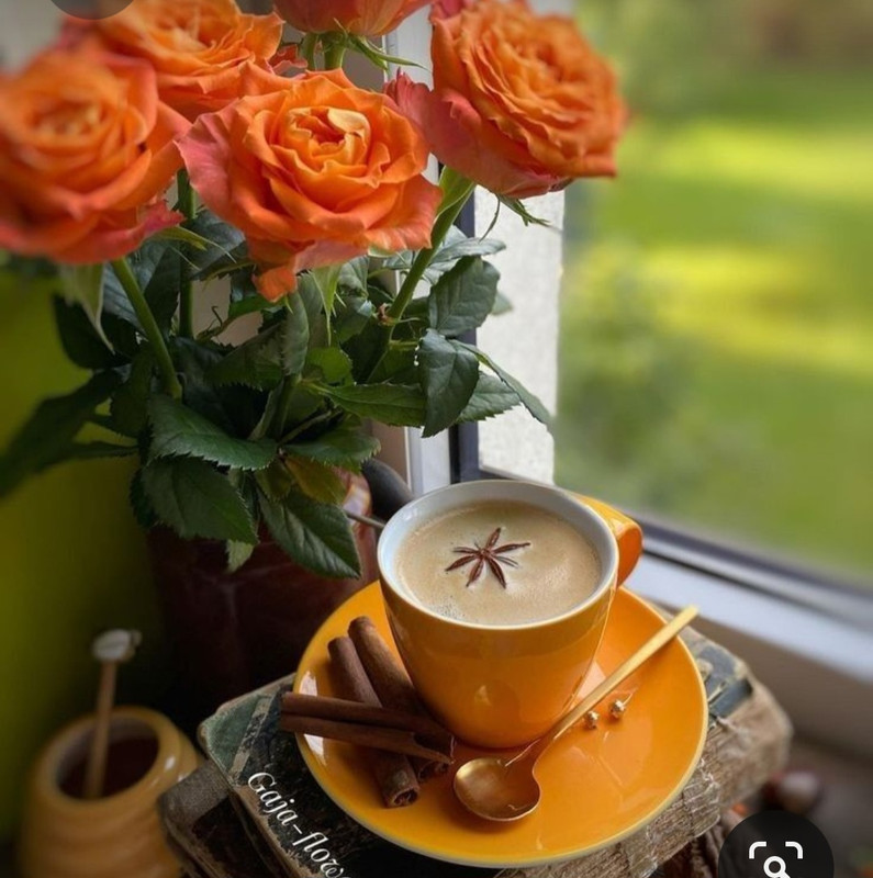 Screenshot_20230311_223822_Pinterest