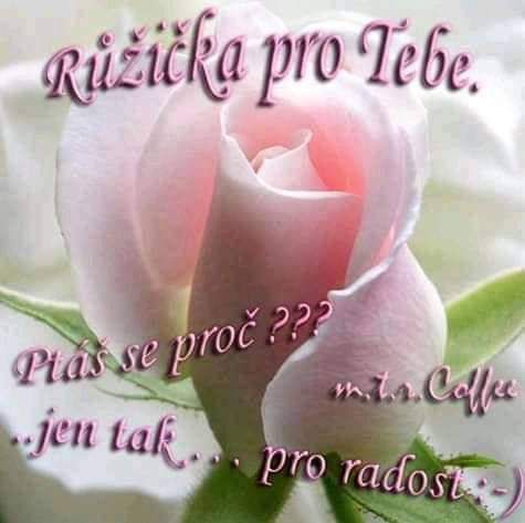 22404b1673ae0812efd160f30bdc579f