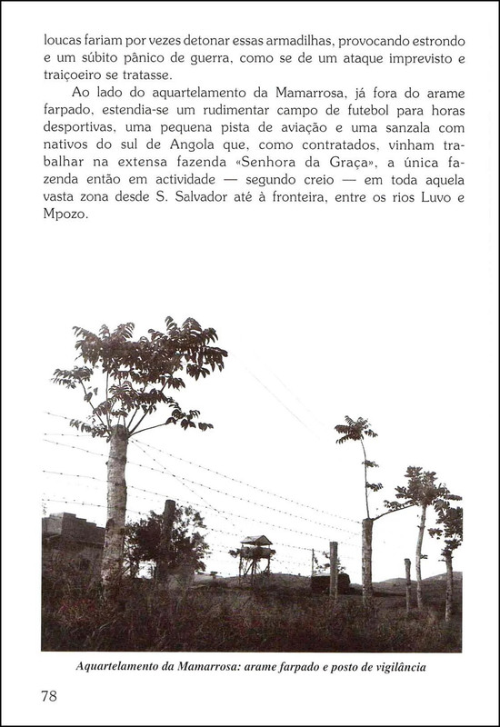 Brumas-15