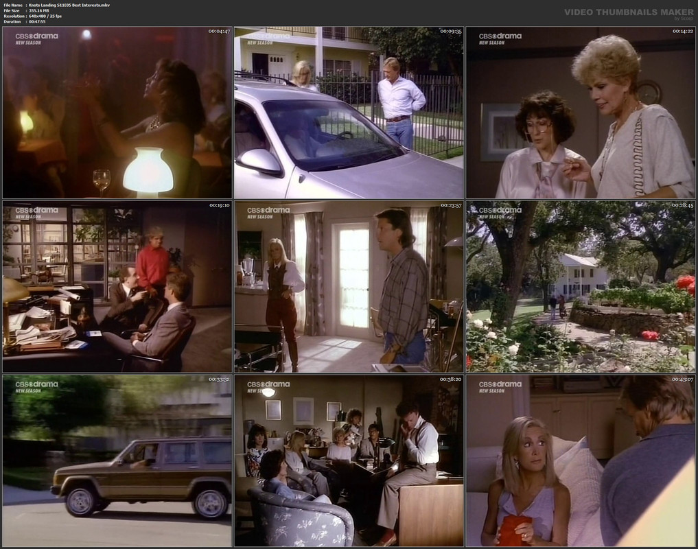 Knots Landing S11E05 Best Interests.mkv