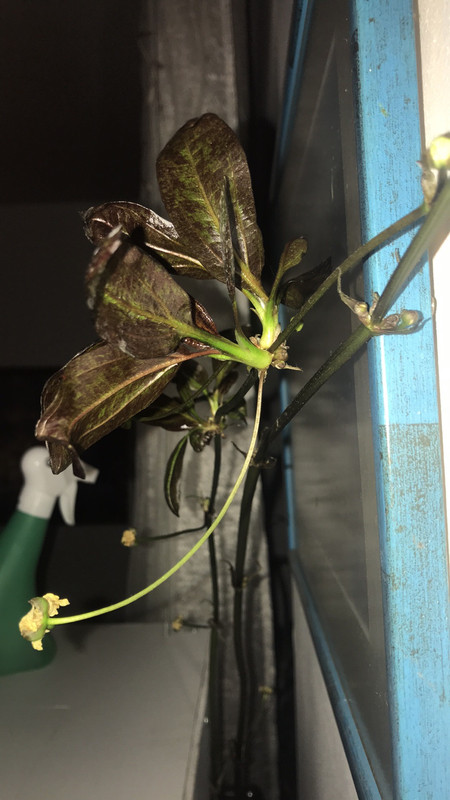 F8B26407-D886-4B80-AA62-D989C3E950A7