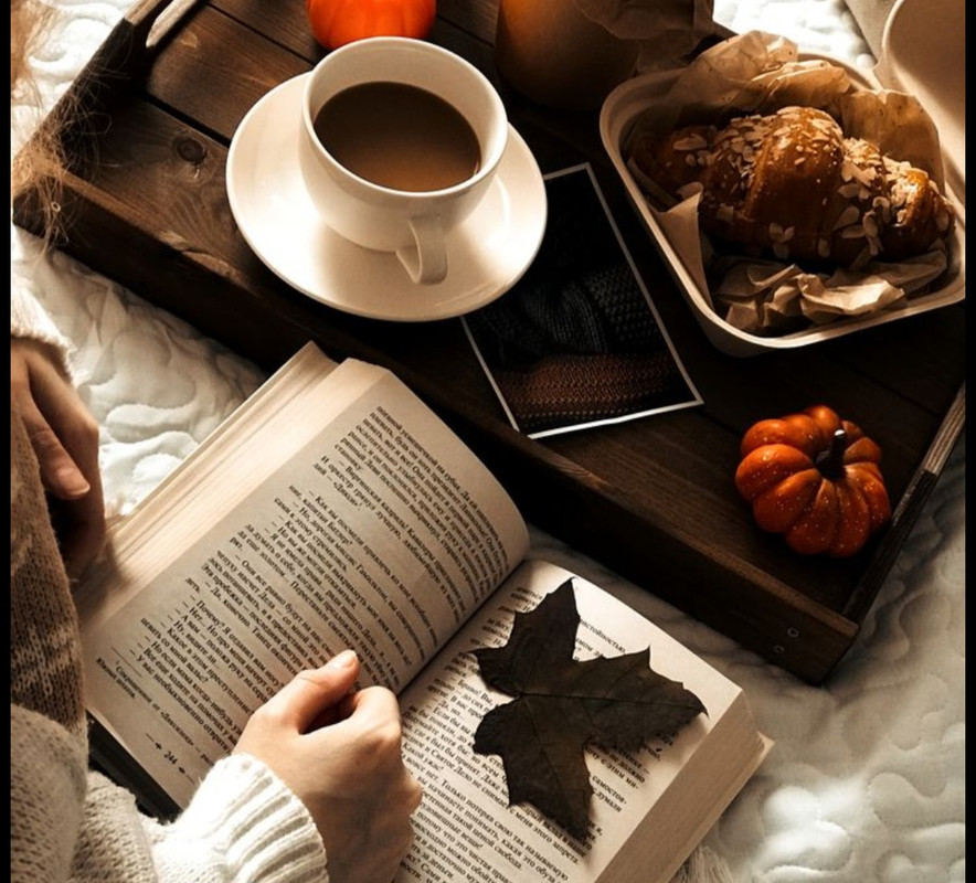 Screenshot_20251004_214911_Pinterest