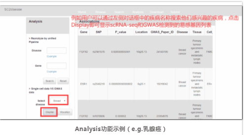 人类疾病单细胞转录组数据库-4.png