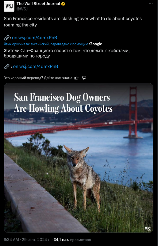 Снимок экрана от 2024-09-29 09-58-17