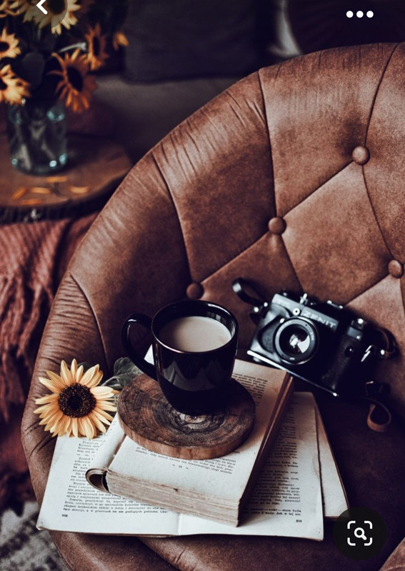 Screenshot_20230923_192225_Pinterest