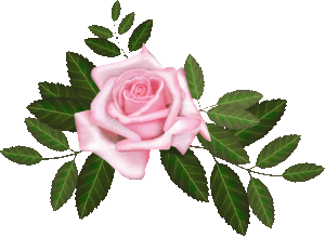 Bloemen